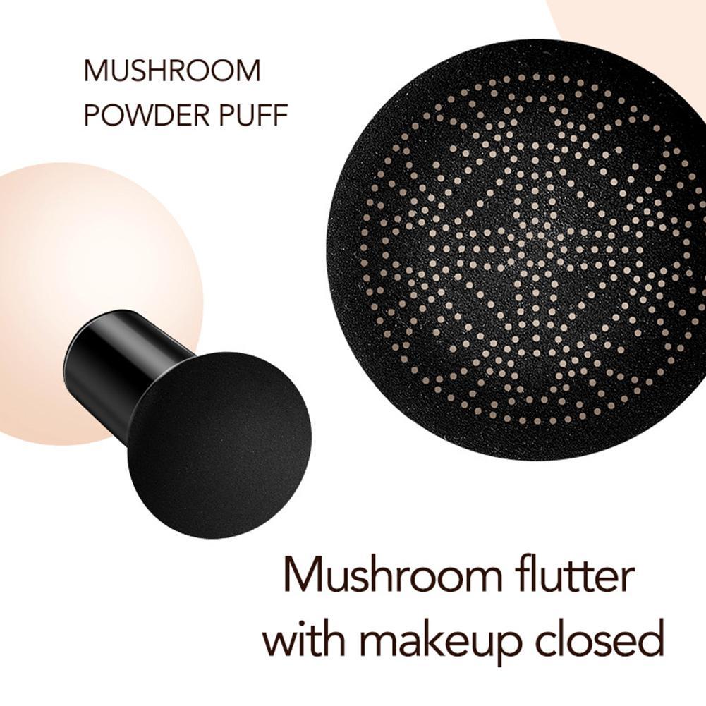 Silk Smooth BB Cream Cushion Concealer